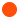 Circle Icon
