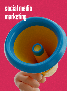 Social Media Marketing (SMM)