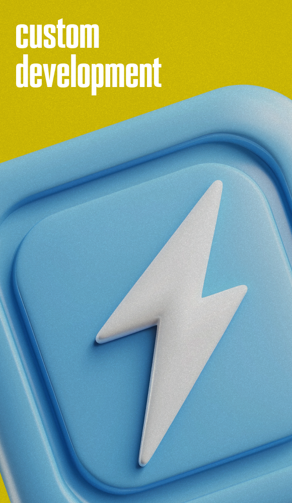 Custom <br> Development